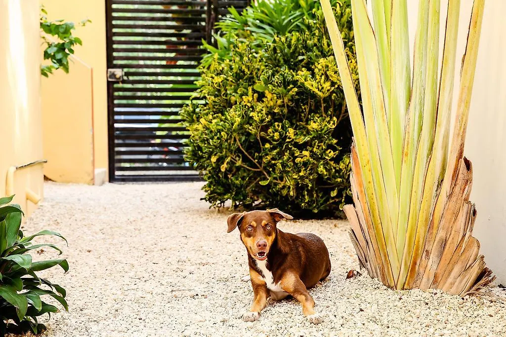 Apartment Villa Clarita Tulum Mexico